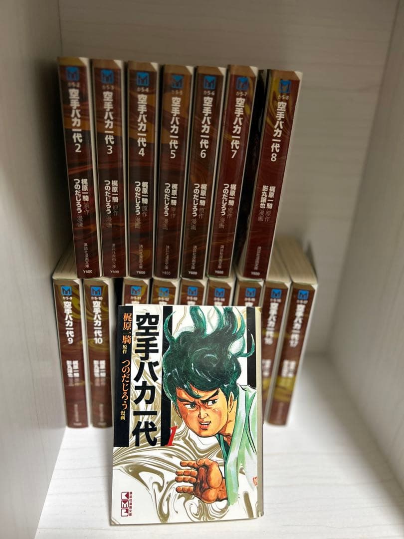 漫画カラテバカ一代