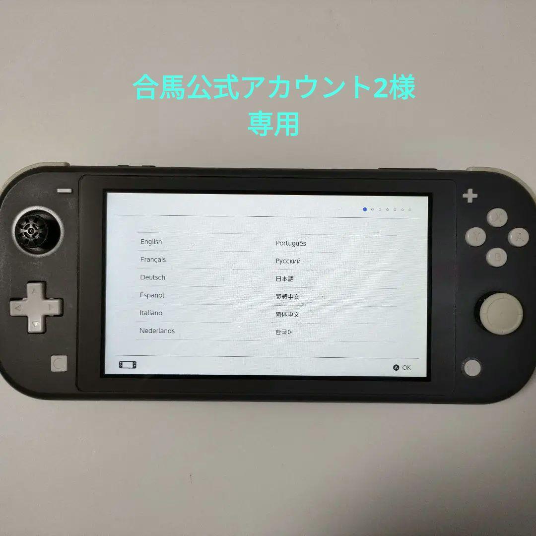 Nintendo Switch Lite グレー【ジャンク品】