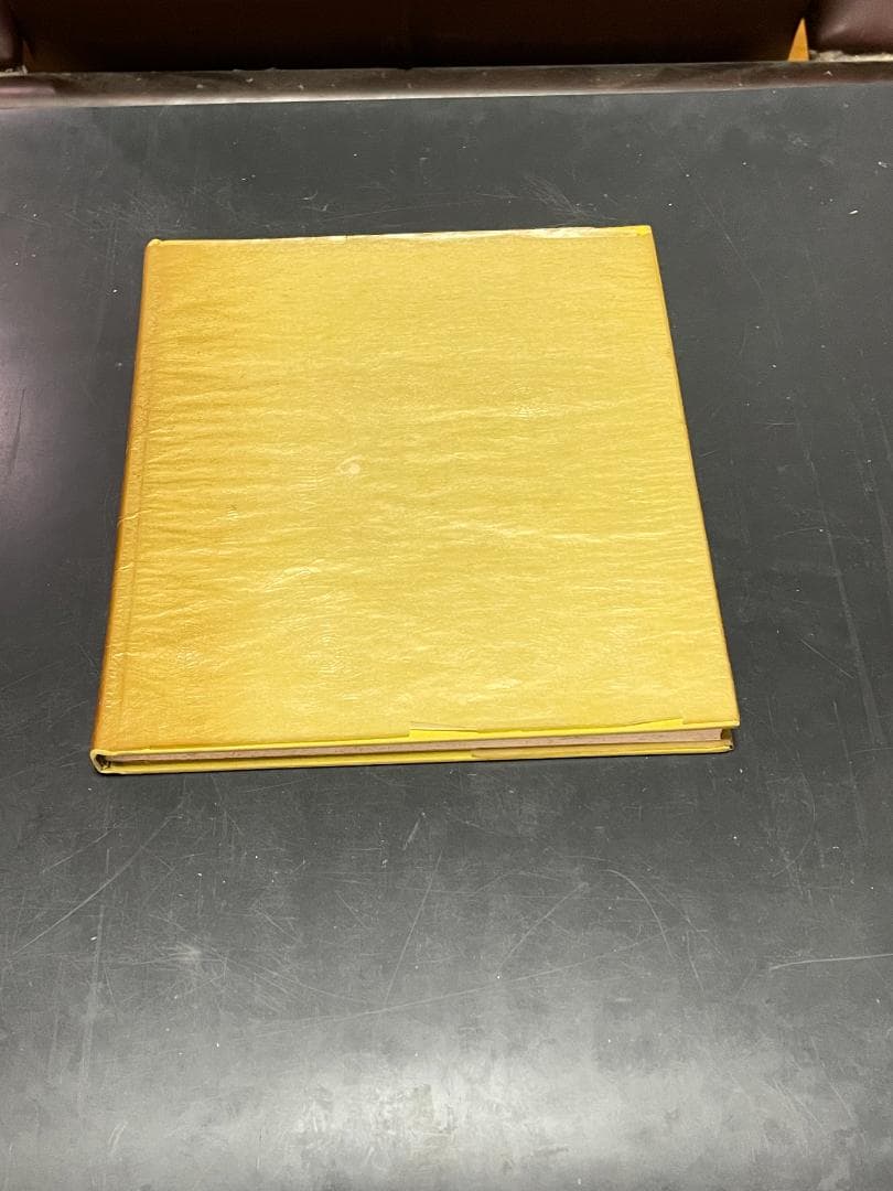 洋書 THE TAROT CARDS BY BONIFACIO BEMBO