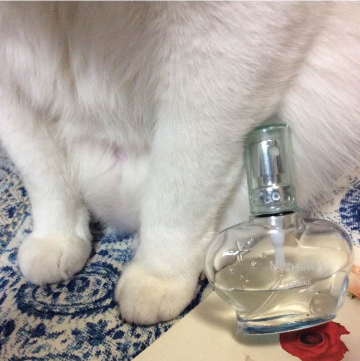 【お取り置き品】メイクミーハッピー ダイヤモンドウィッシュ 30ml