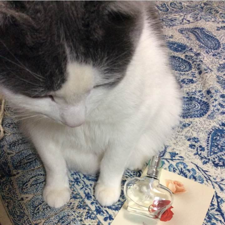 【お取り置き品】メイクミーハッピー ダイヤモンドウィッシュ 30ml