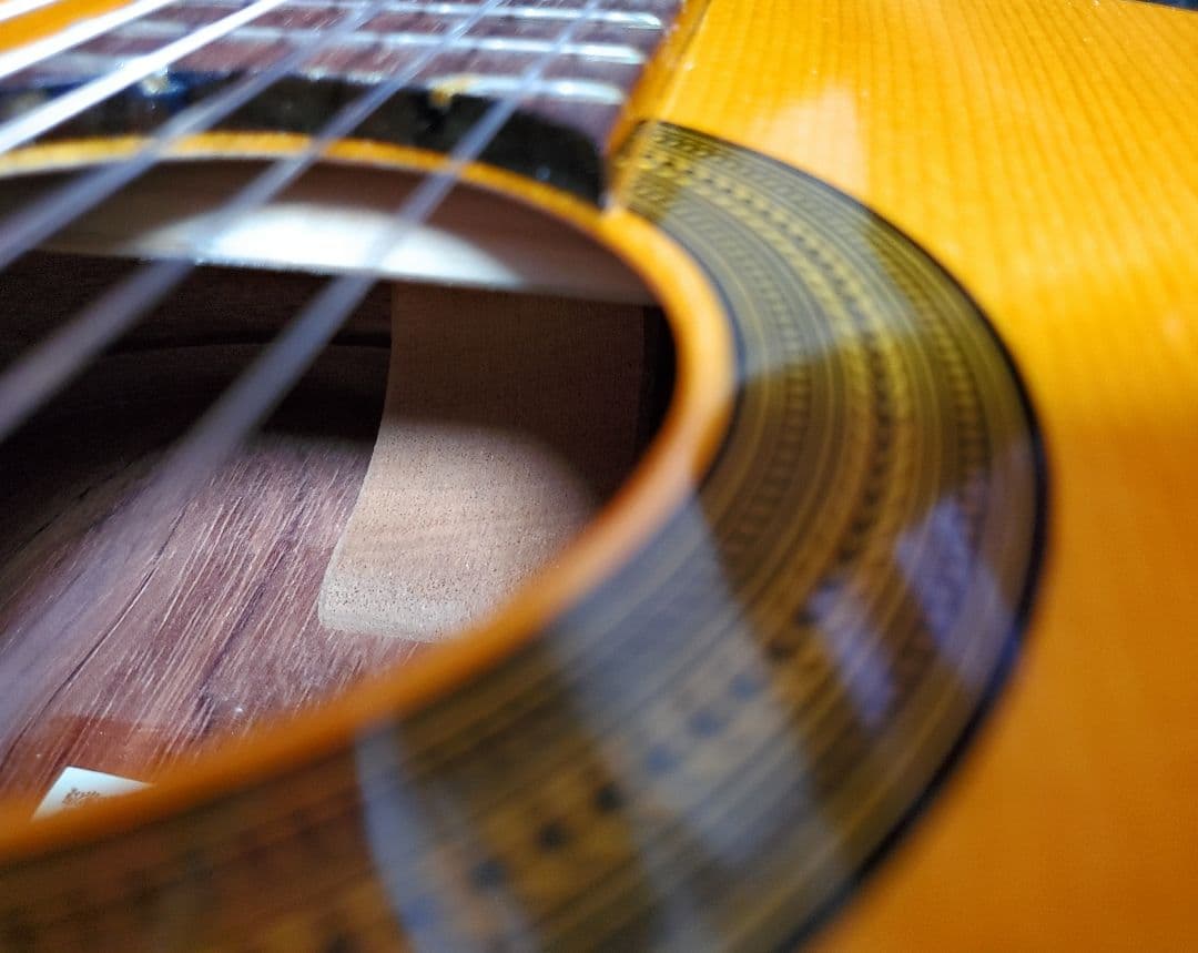 アントニオ・サンチェス ANTONIO SANCHEZ S-20 フラメンコ