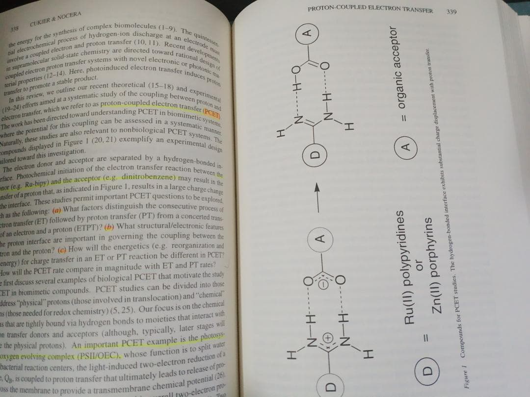 ANNU REV PHYS CHEM v49 1998 物理化学年次学術雑誌