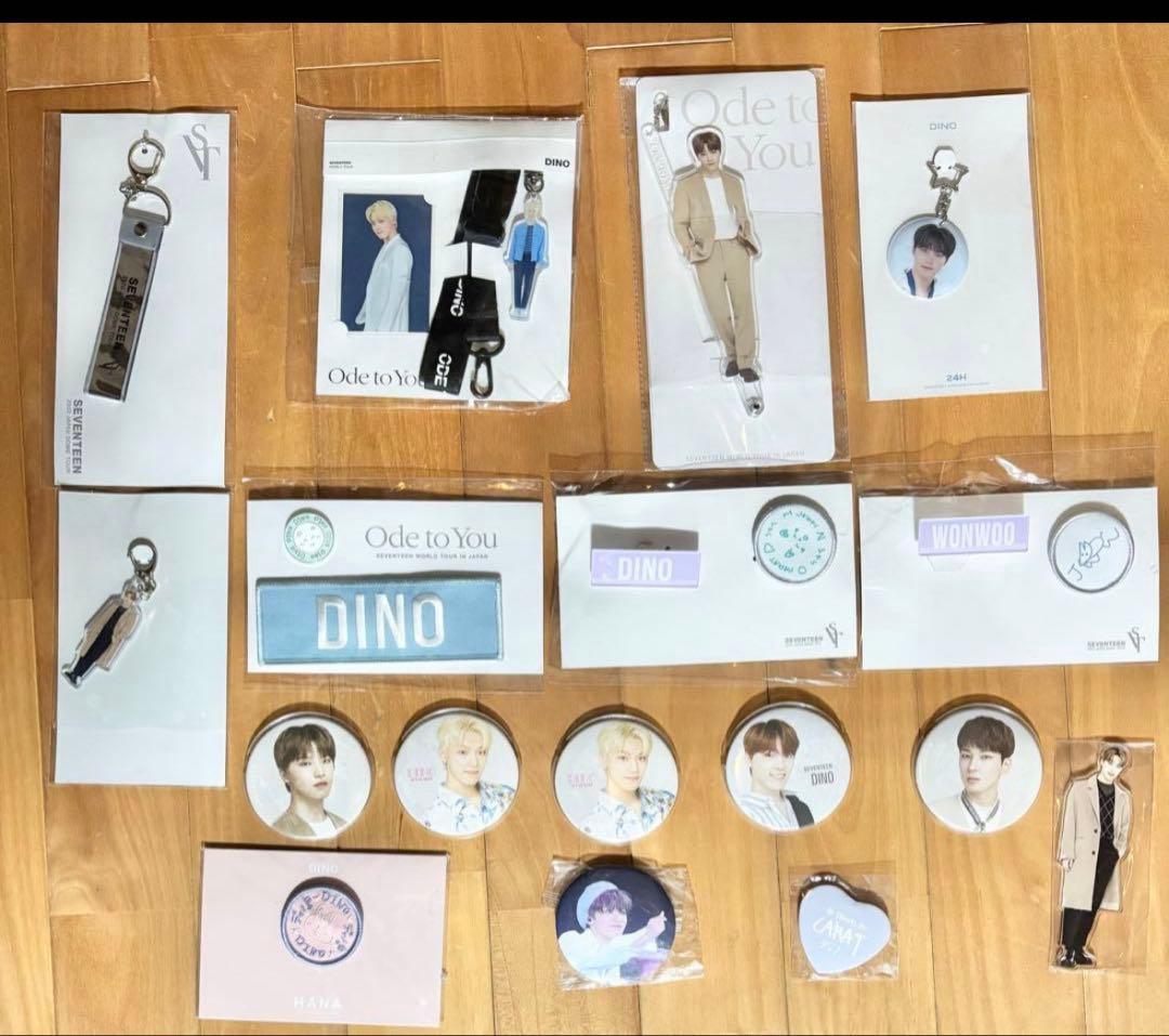 Seventeen ディノ