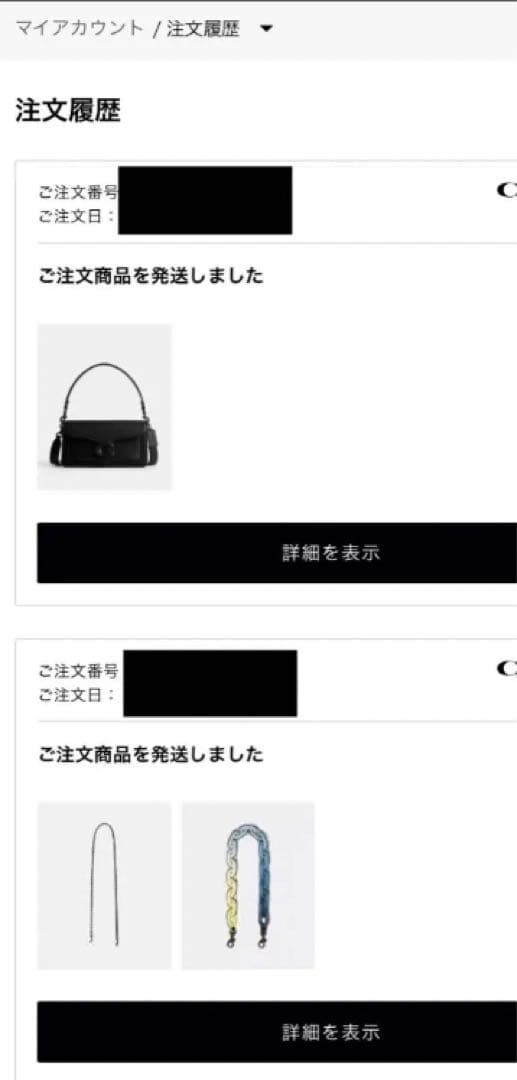 匿名配送／美品／COACH／レザー カバード ショート チェーン ストラップ／