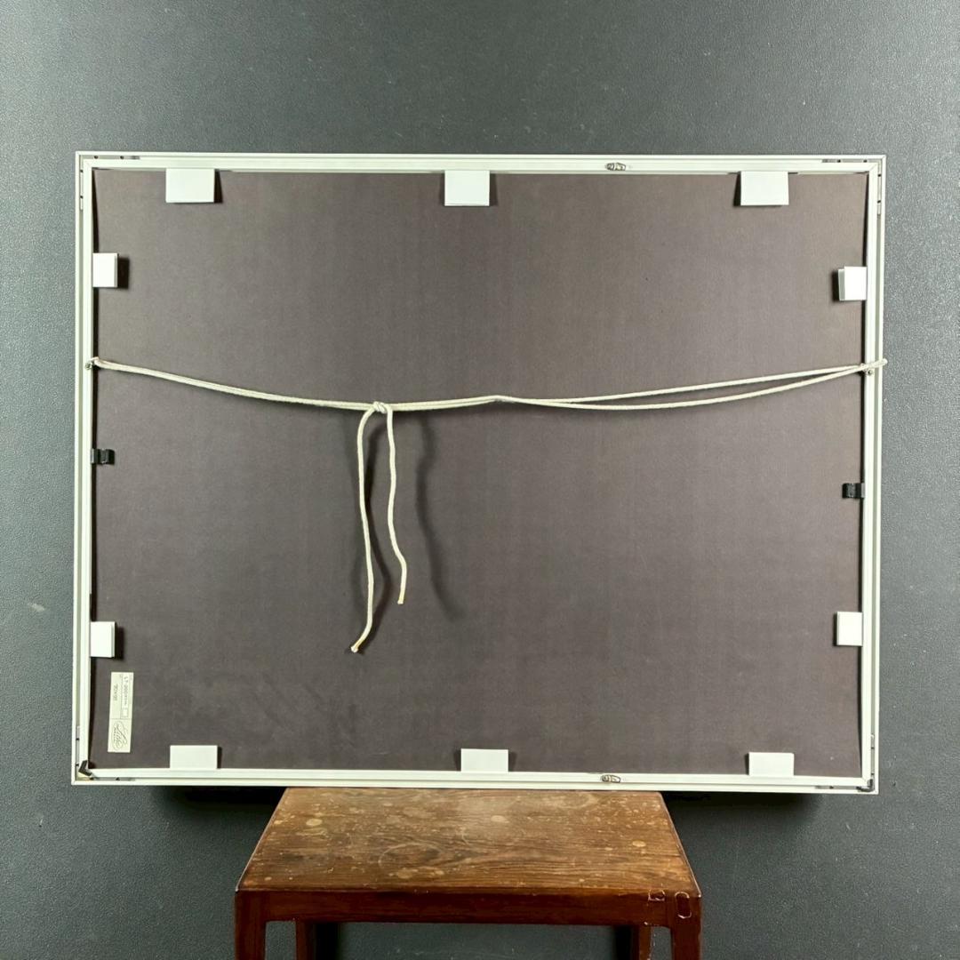 ジョアン・フック「ウポル島」シルクスクリーン 大作 直筆サイン入り マリンアート