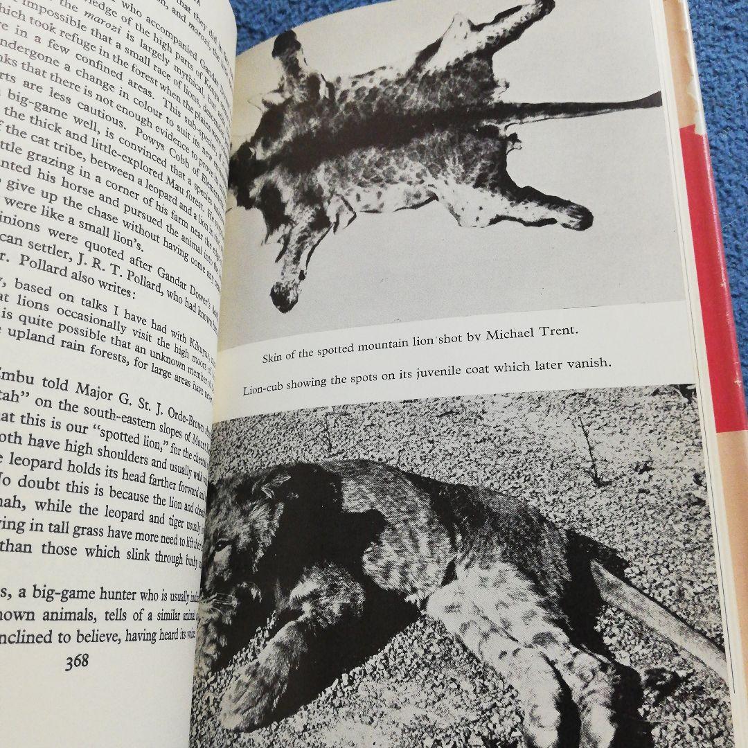 洋書 On the Track Unknown Animals/Heuvelmans