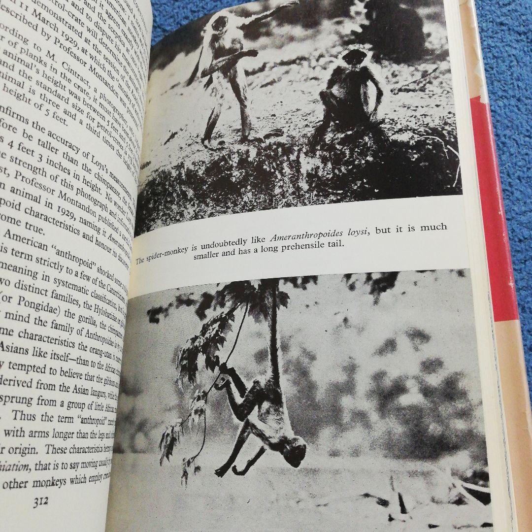 洋書 On the Track Unknown Animals/Heuvelmans