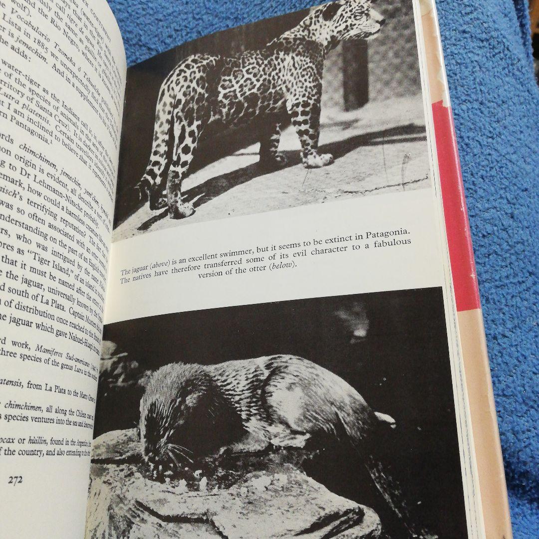 洋書 On the Track Unknown Animals/Heuvelmans