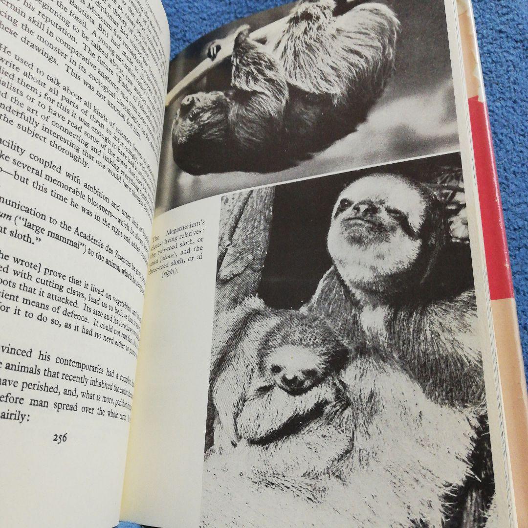 洋書 On the Track Unknown Animals/Heuvelmans