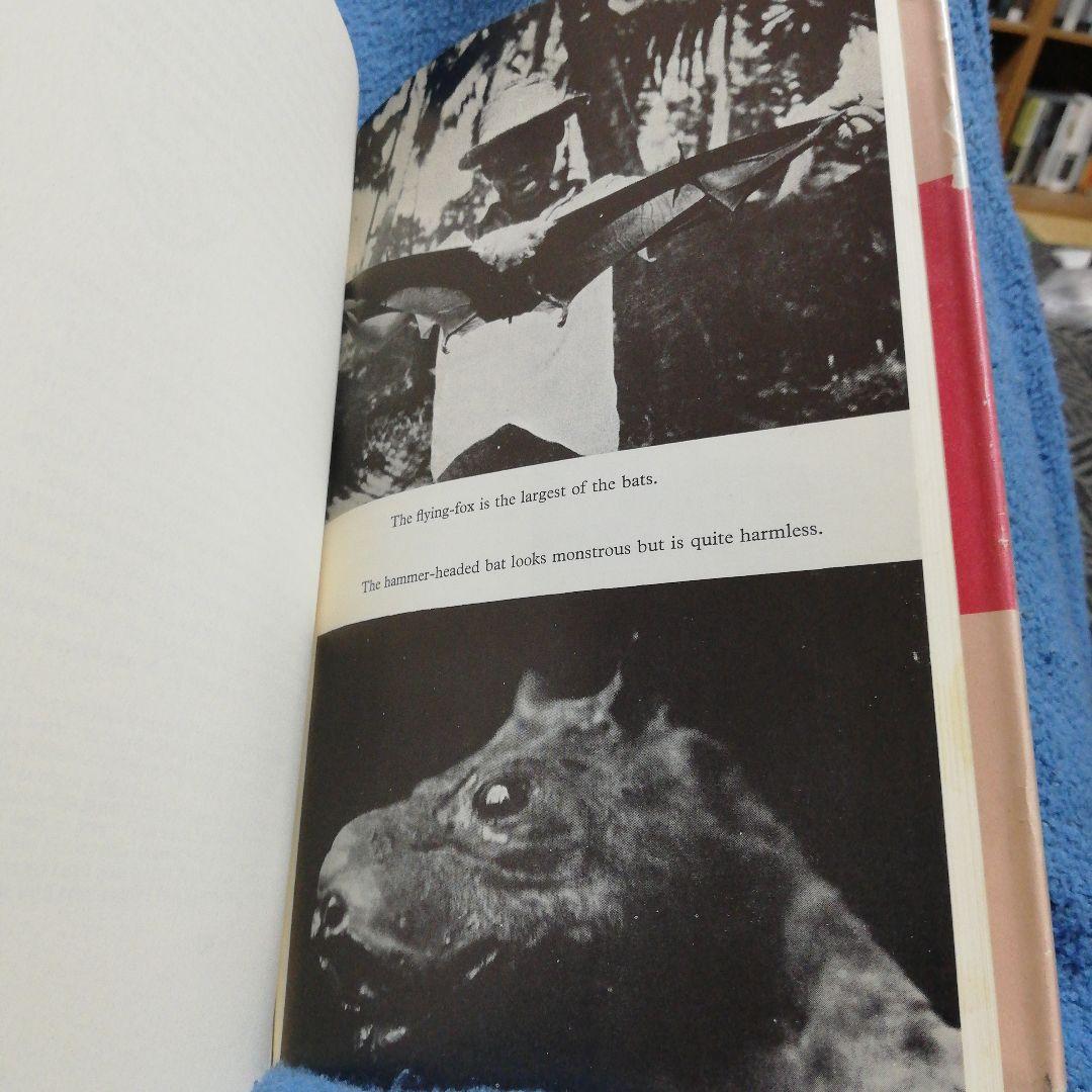 洋書 On the Track Unknown Animals/Heuvelmans