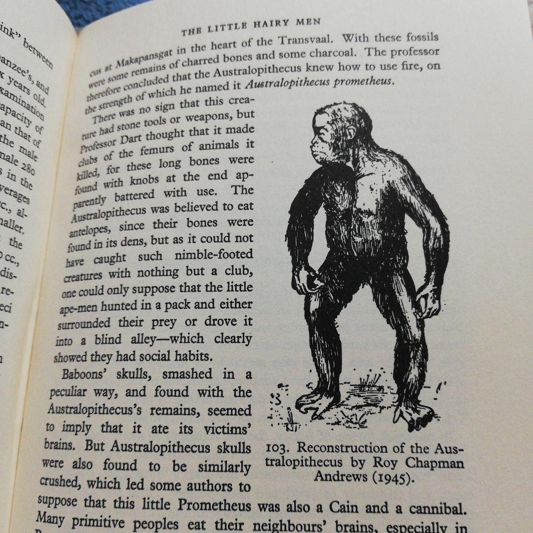 洋書 On the Track Unknown Animals/Heuvelmans