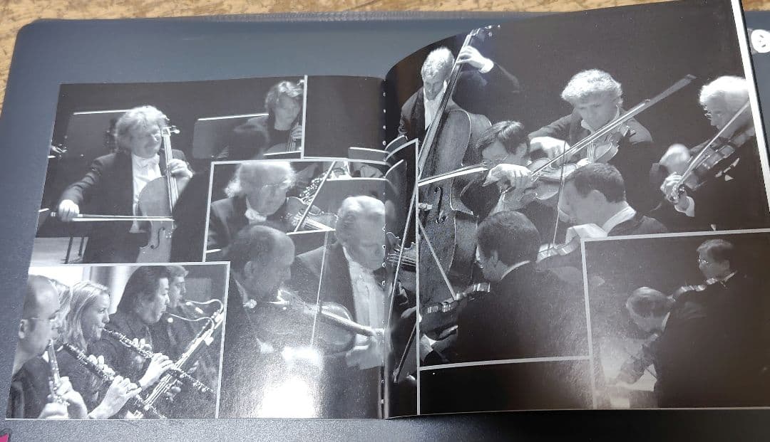 ハイドン交響曲全集　D.R.デイヴィス シュツットガルト室内楽管　37枚組