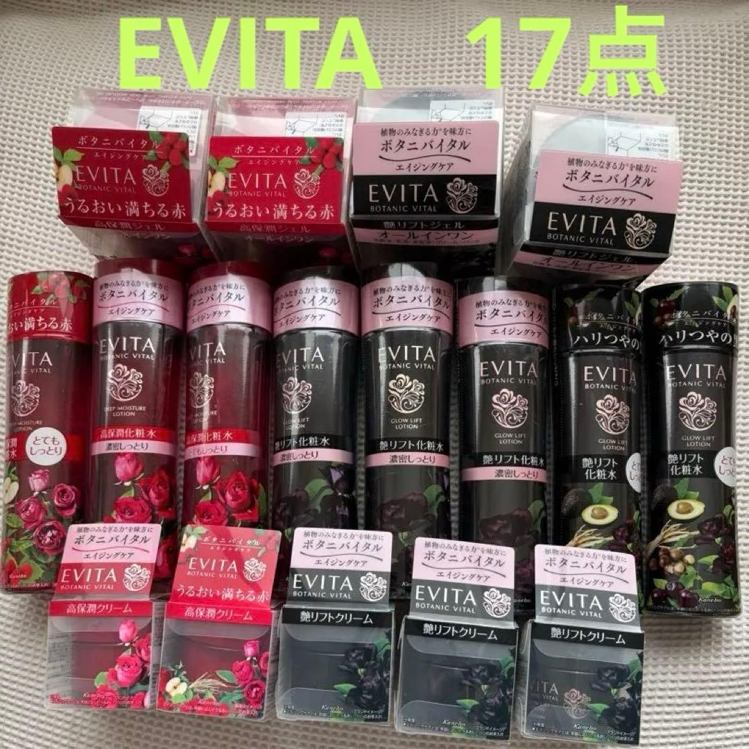 【17点】EVITAおまとめ