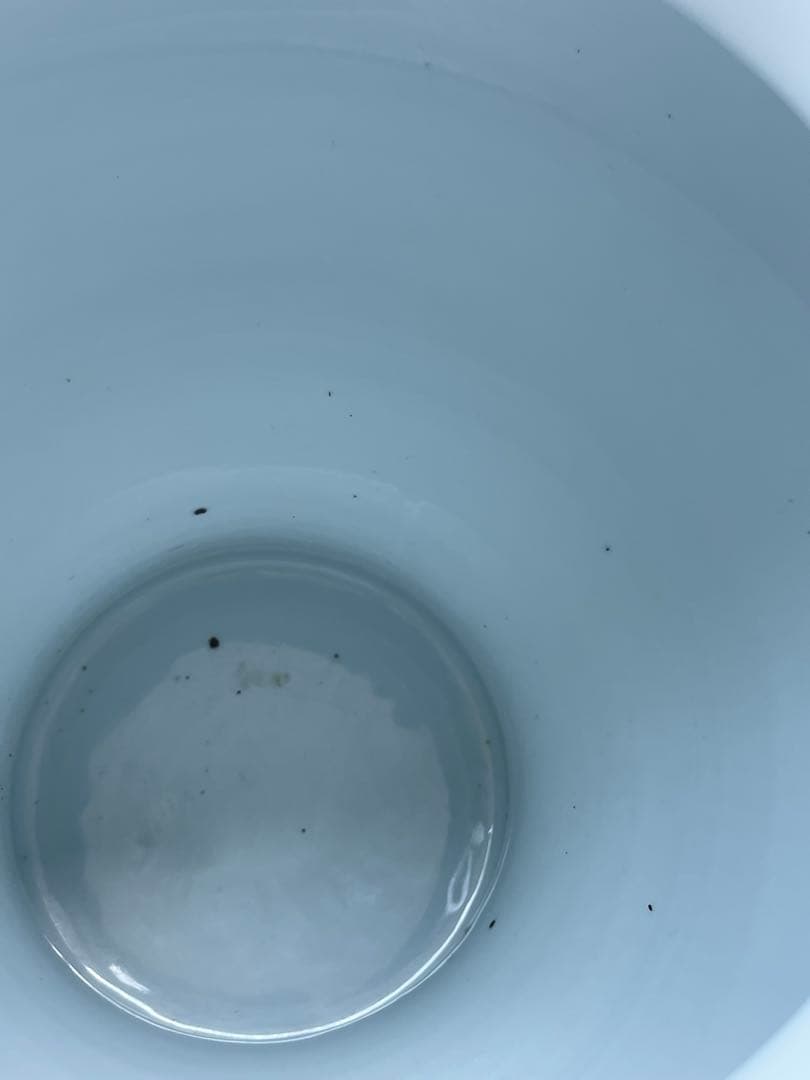 ケ*ン様 【中国 景徳鎮/ 花瓶】壺 中国陶器 中国 骨董品 家紋 ツボ