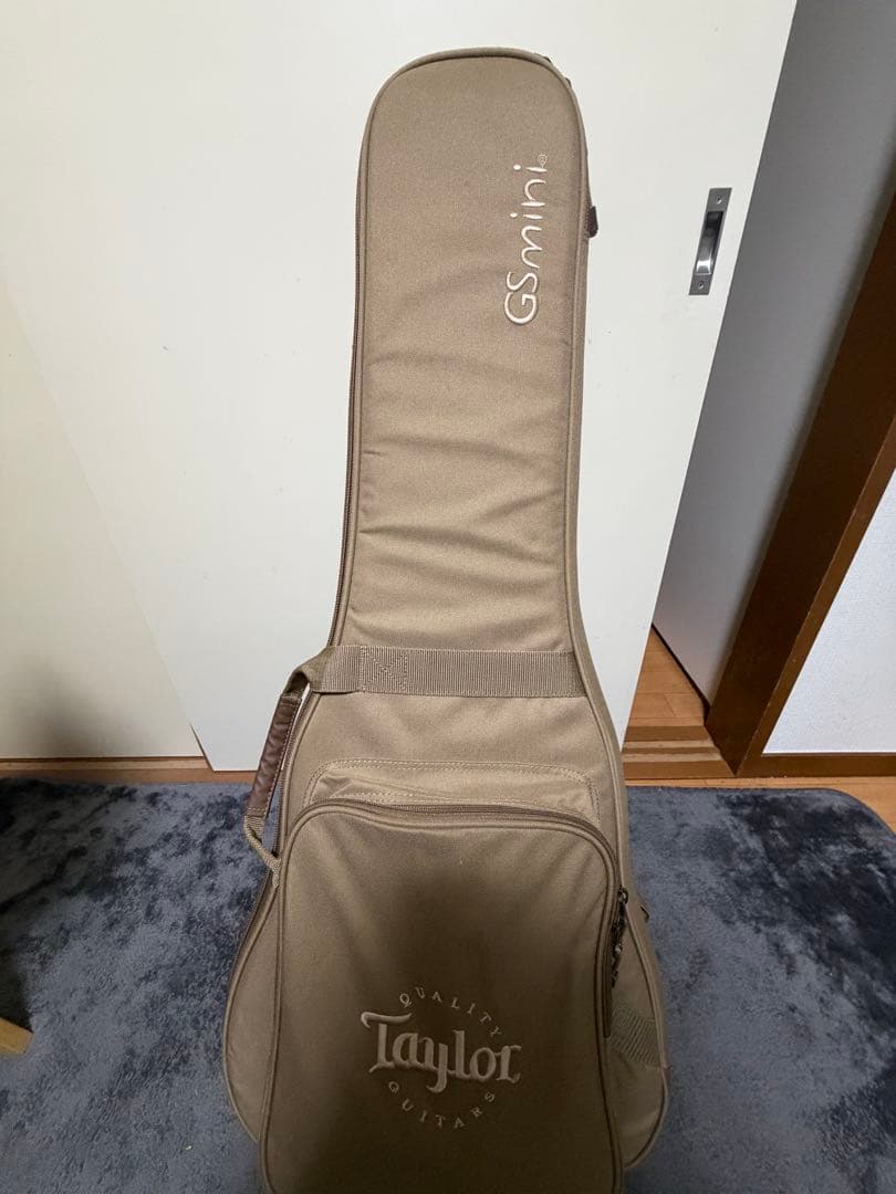 ギター Taylor GS Mini e-Koa