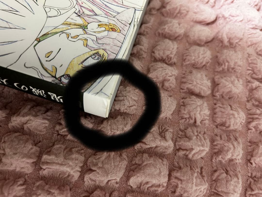 鬼滅の刃 竈門炭治郎 立志編 アニメーション原画集