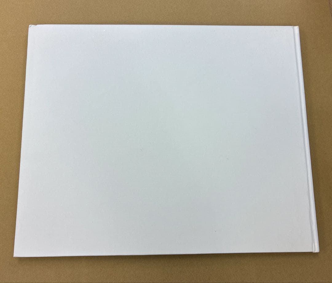 洋書 A ROAD DIVIDED Todd Hido