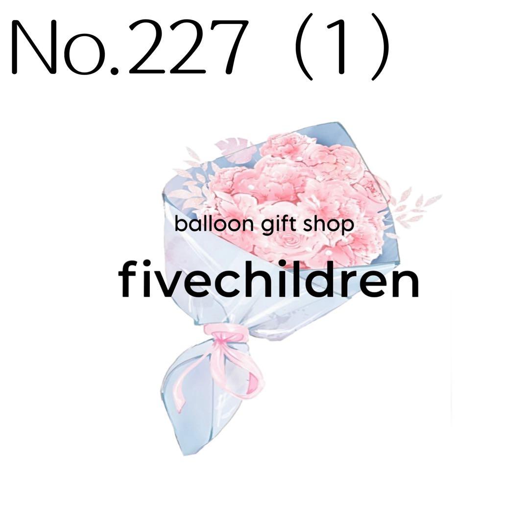 【227（1）】tae.2008022 様