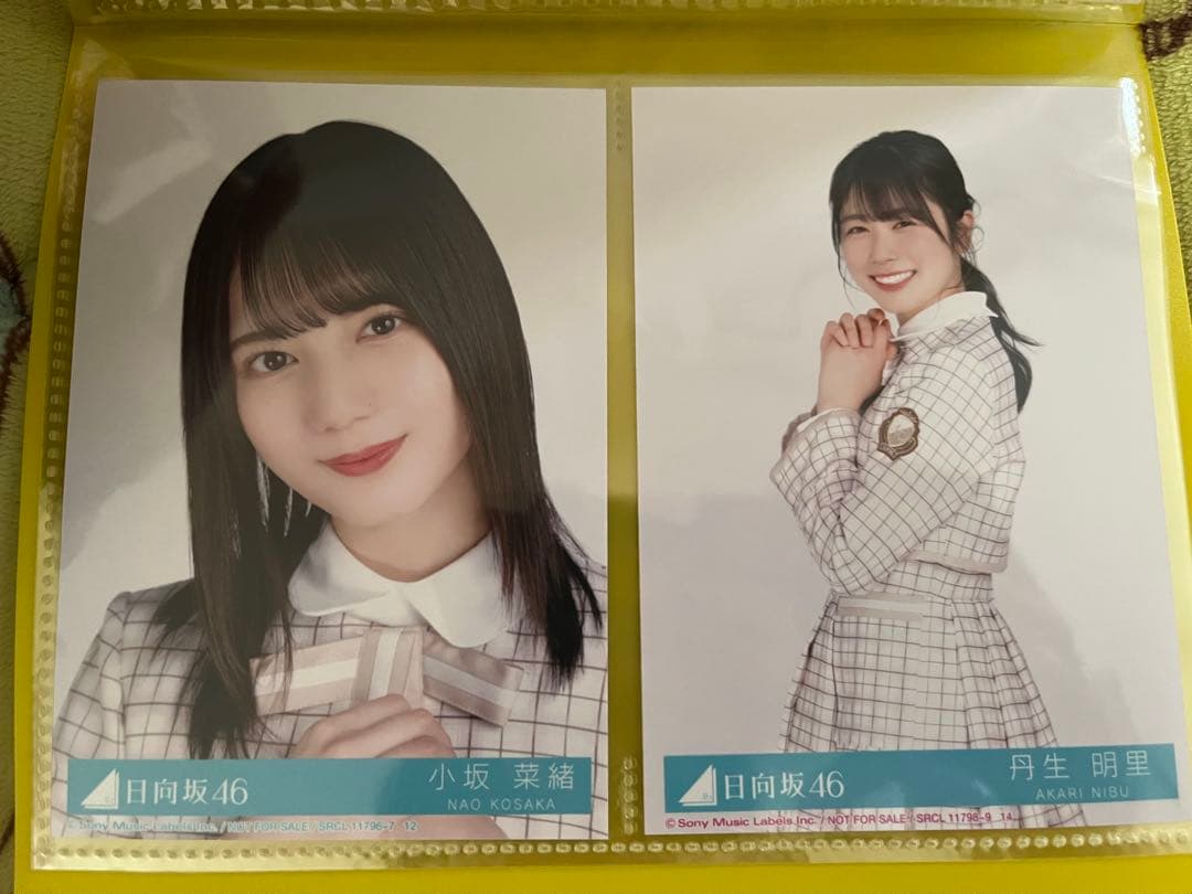日向坂46 君しか勝たんCD ブロマイド 日向撮シール