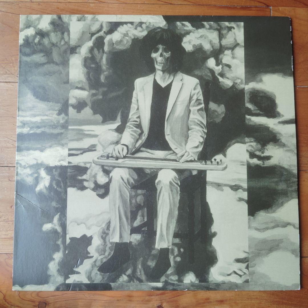 坂本慎太郎 ナマで踊ろう レコード