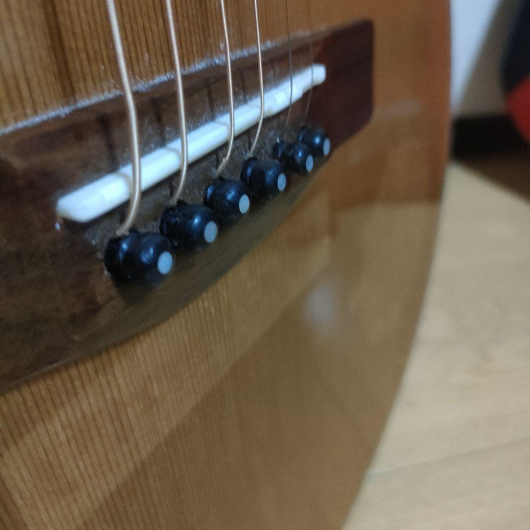 ギター Greg Bennett D-8