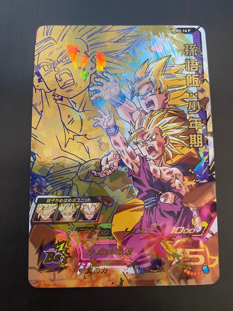 H2-16 P 孫悟飯:少年期