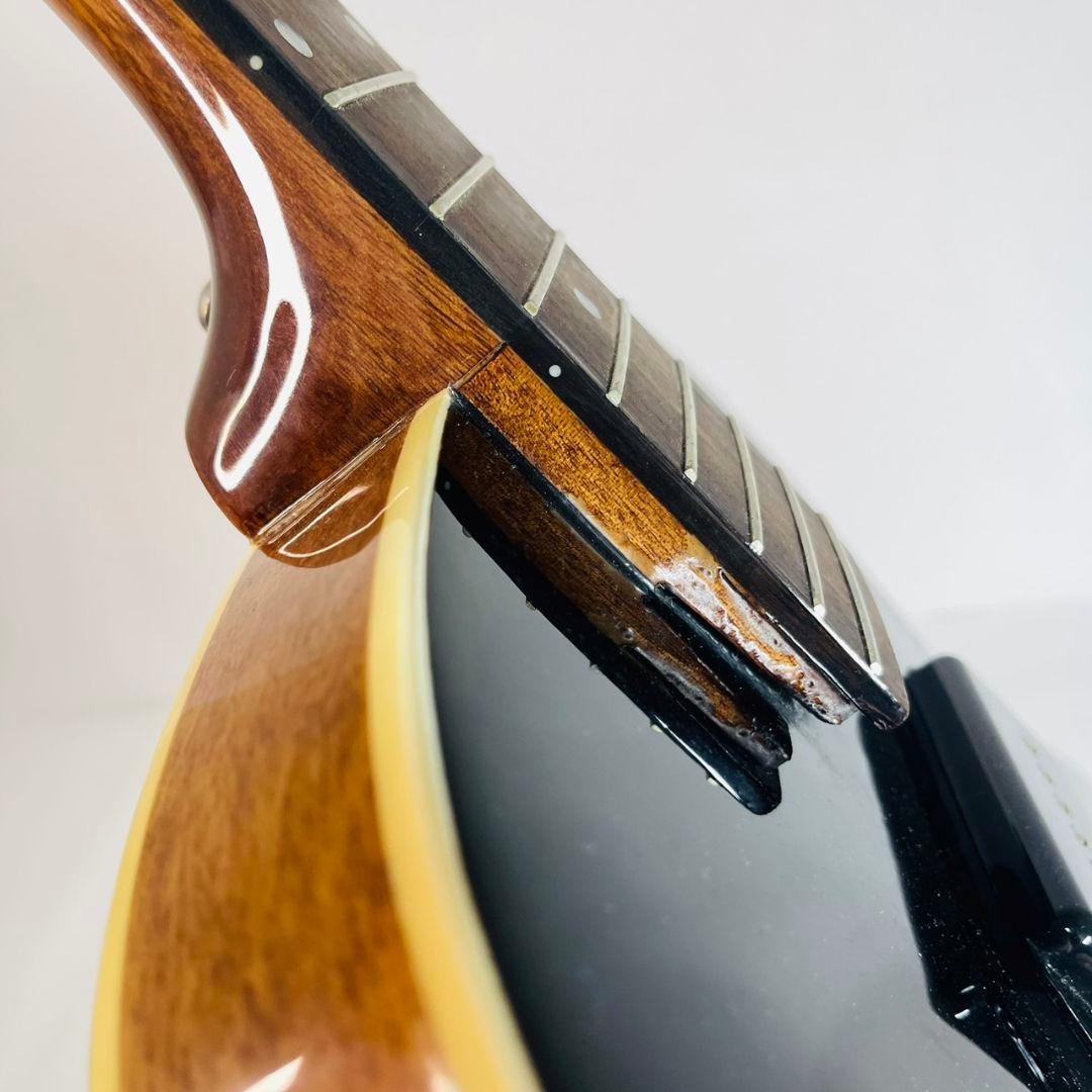 The Loar LH-301T-VS ロアー フルアコースティックギター