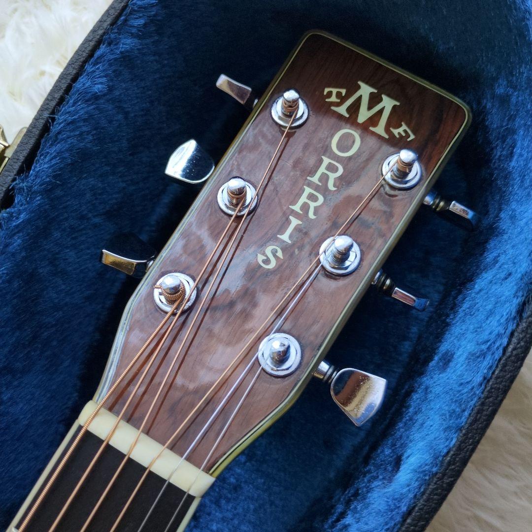 希少　新品弦　現状販売 MORRIS TF W-50 ハカランダモデル