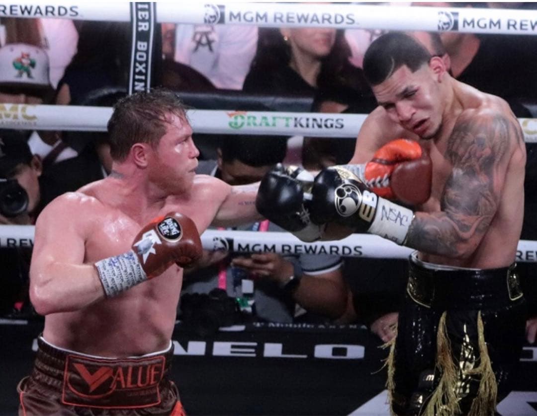 ボクシングシューズ　ノーボクシングノーライ　26cm特注品