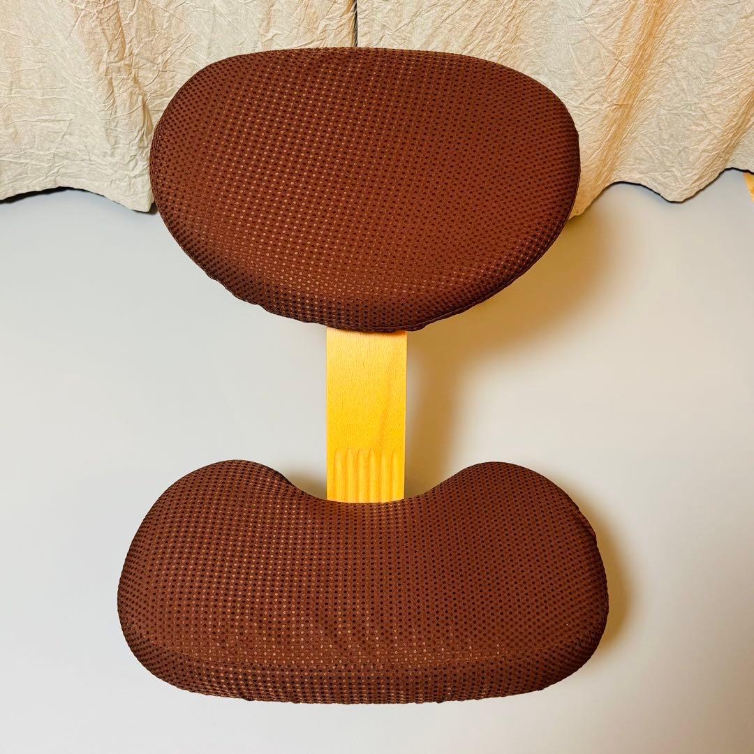 極美品 バランスイージー 専用カバー キャスター付き足 説明書 付き