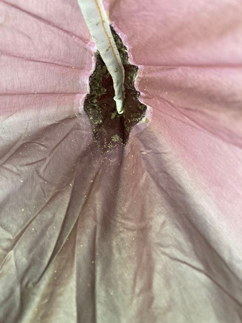 アライテント　エアライズ3