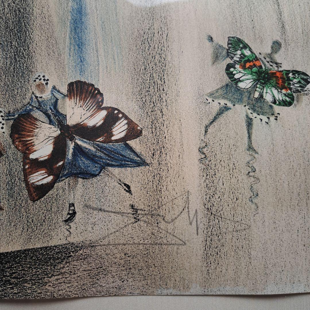 サルバドール ダリ リトグラフ 冬のセントラルパーク