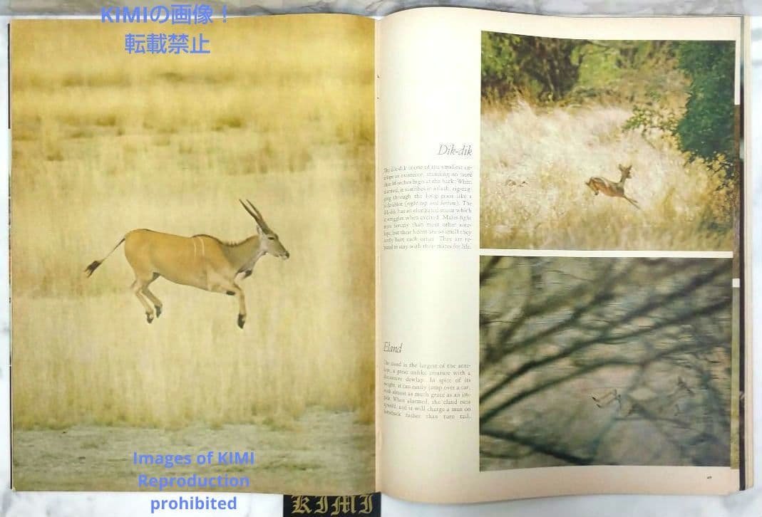 ライフ マガジン 1970 1月19 LIFE Magazine JANUARY