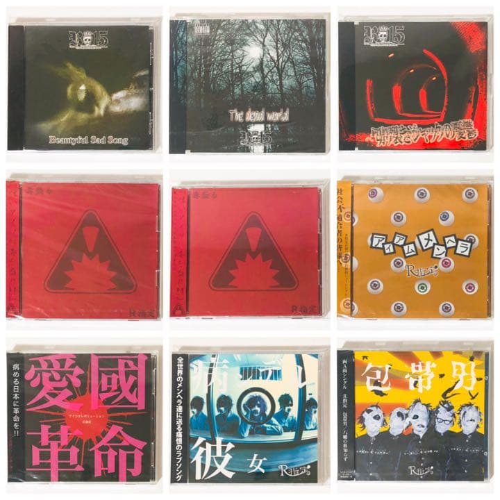 V系★R15★R指定★CD＋DVD★9点セット