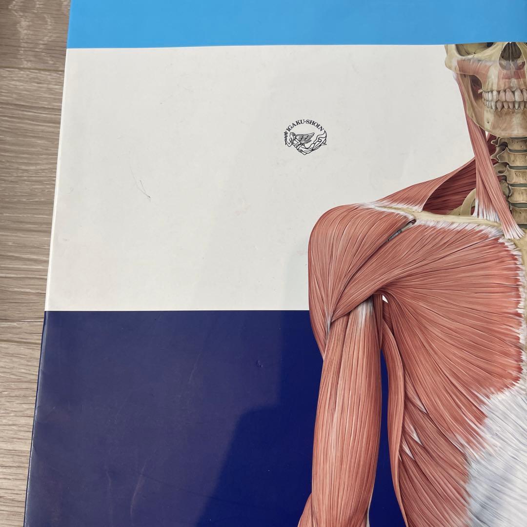 プロメテウス解剖学アトラス 解剖学総論/運動器系