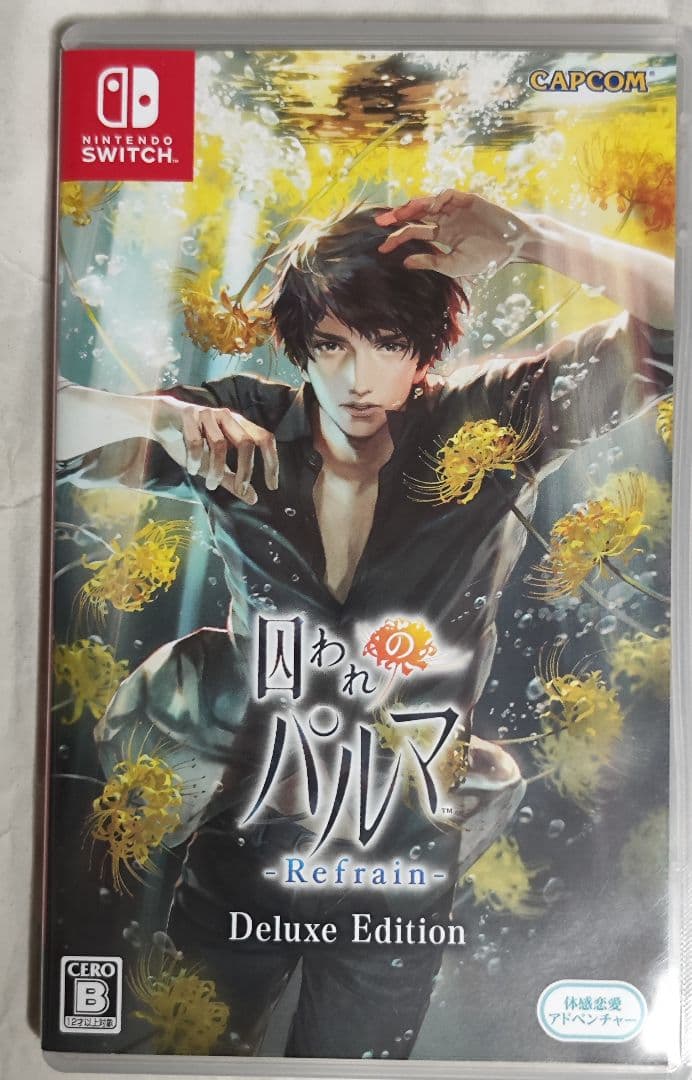 中古　囚われのパルマREFRAIN DX.E　動作確認済み