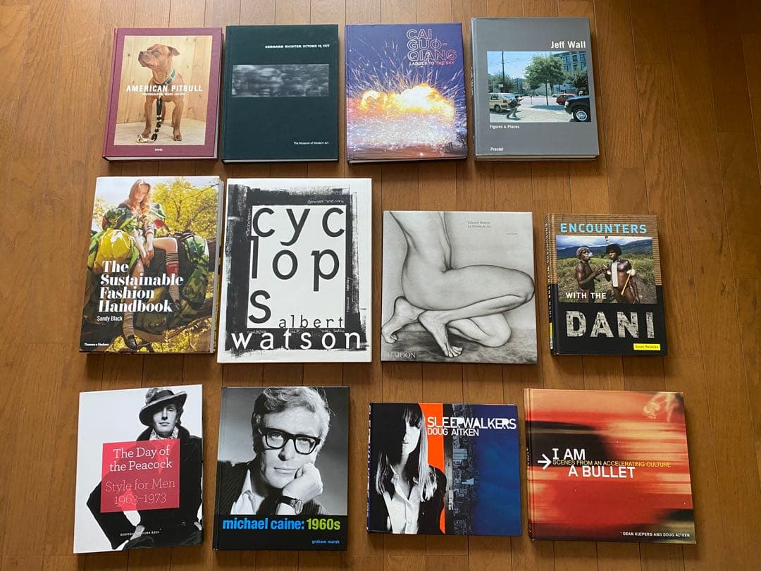 ★12冊★ ゲルハルト・リヒター/蔡國強/ジェフ・ウォールほか 洋書の作品集