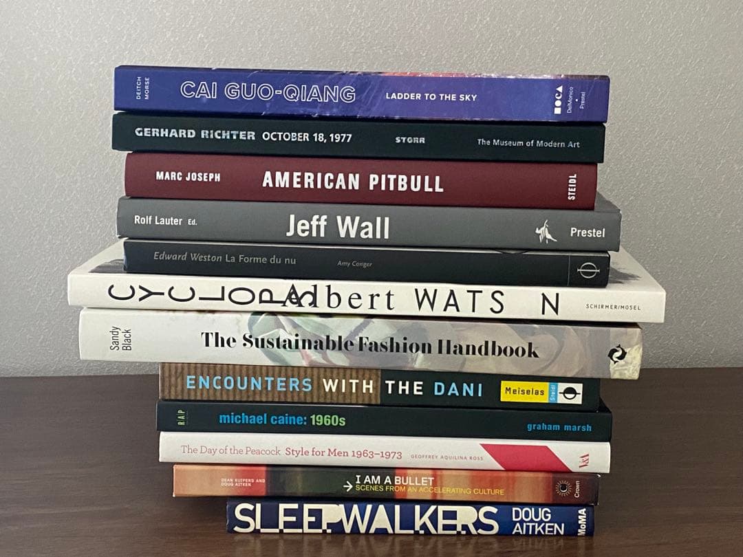 ★12冊★ ゲルハルト・リヒター/蔡國強/ジェフ・ウォールほか 洋書の作品集