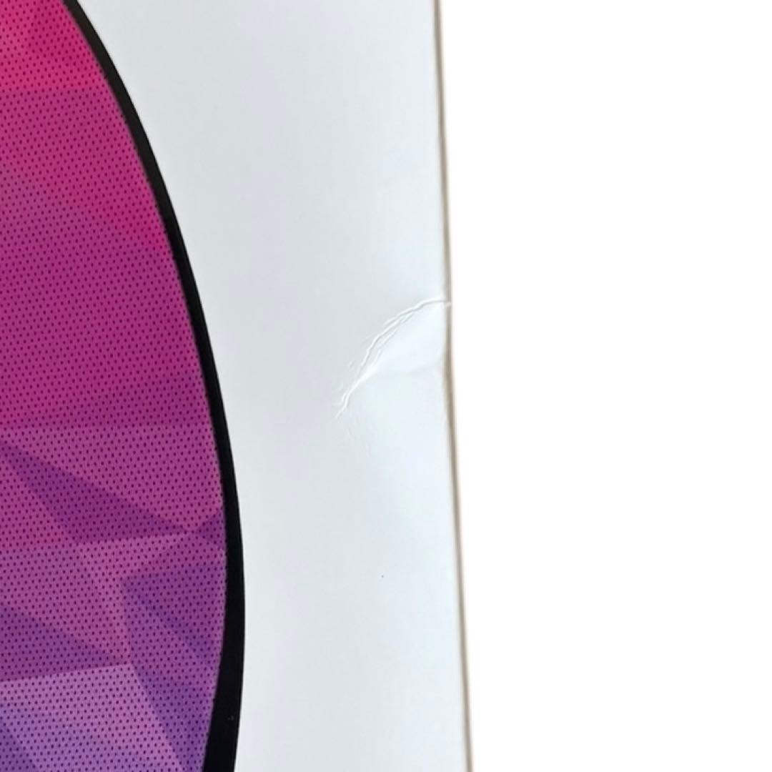 SALTED SMART INSOLE　インソース型足圧計　Ｌサイズ