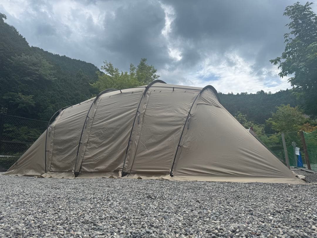 サバティカル　アルニカ　サンドストーン