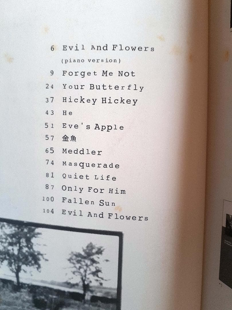 ボニーピンク イヴィルアンドフラワーズ バンドスコア 初版