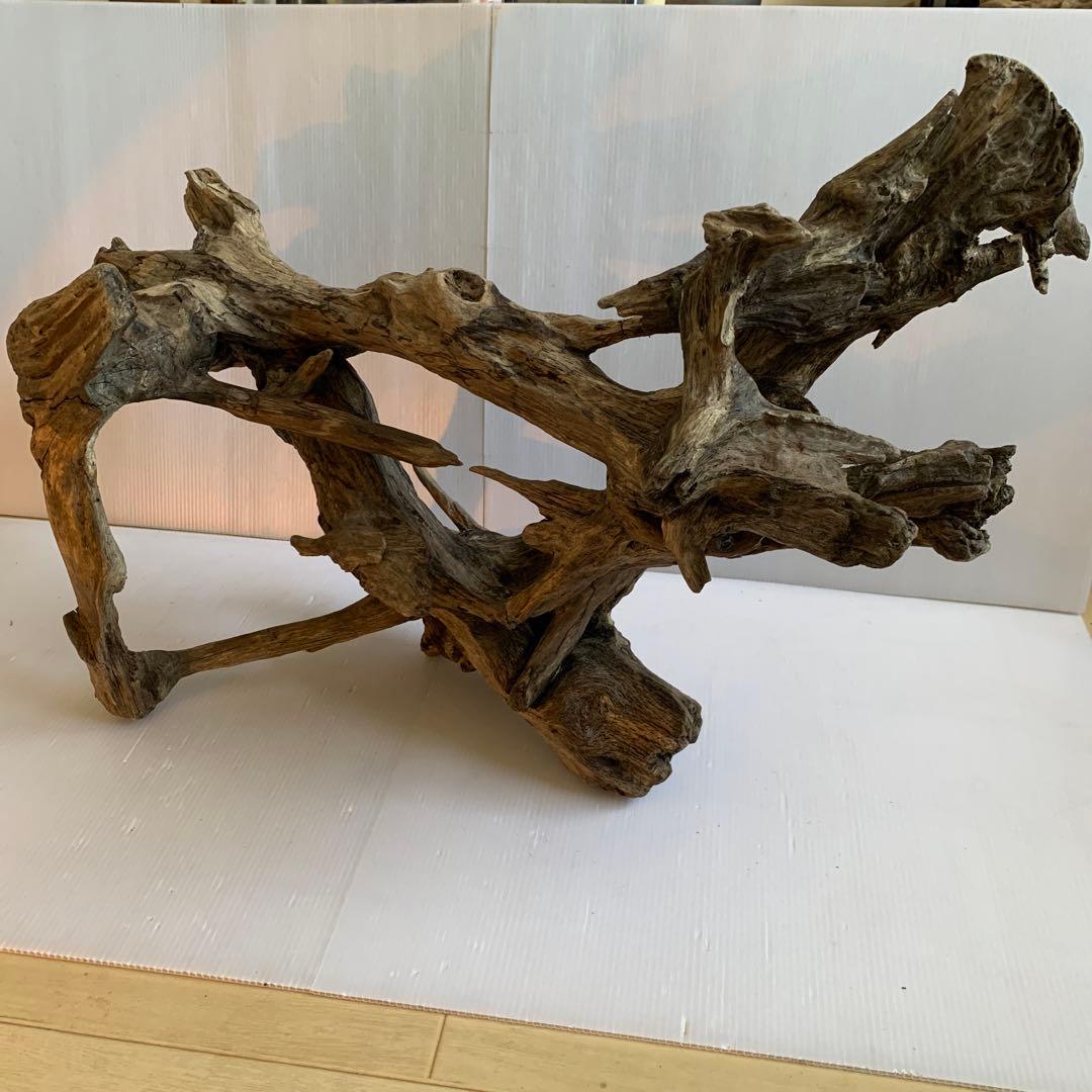 銀*時様 アク抜き済み流木　No.10 超レア型　沈水確認済