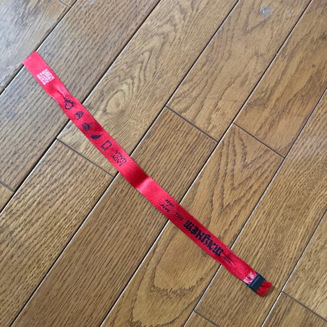 LADY GAGA DANCE OR DIE Tシャツ　おまけ付き来日ツアー