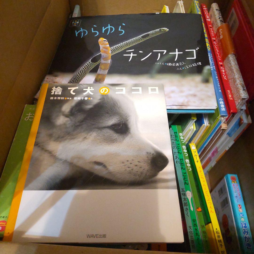 12日終了乳児幼児むけまとめ絵本64冊セットだるまくろくまワンピースアンパンマン