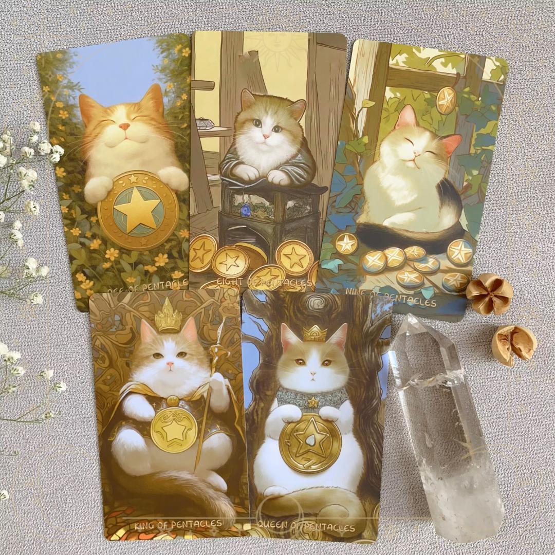 Midnightは猫が好きཐི♡⃘ཋྀ★タロット