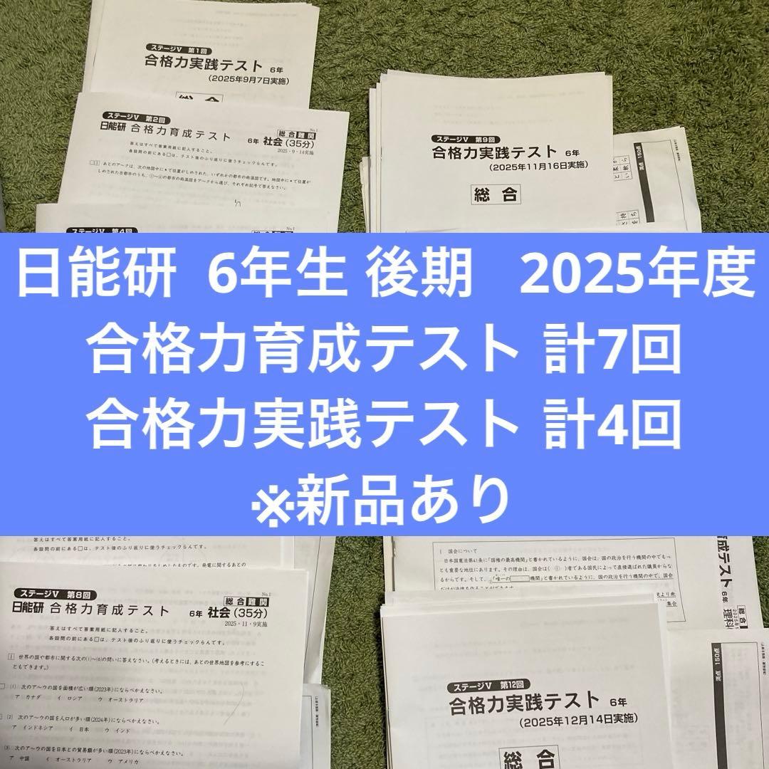 2025年 日能研 6年生 後期 合格力育成テスト・合格力実践テスト　計11回分