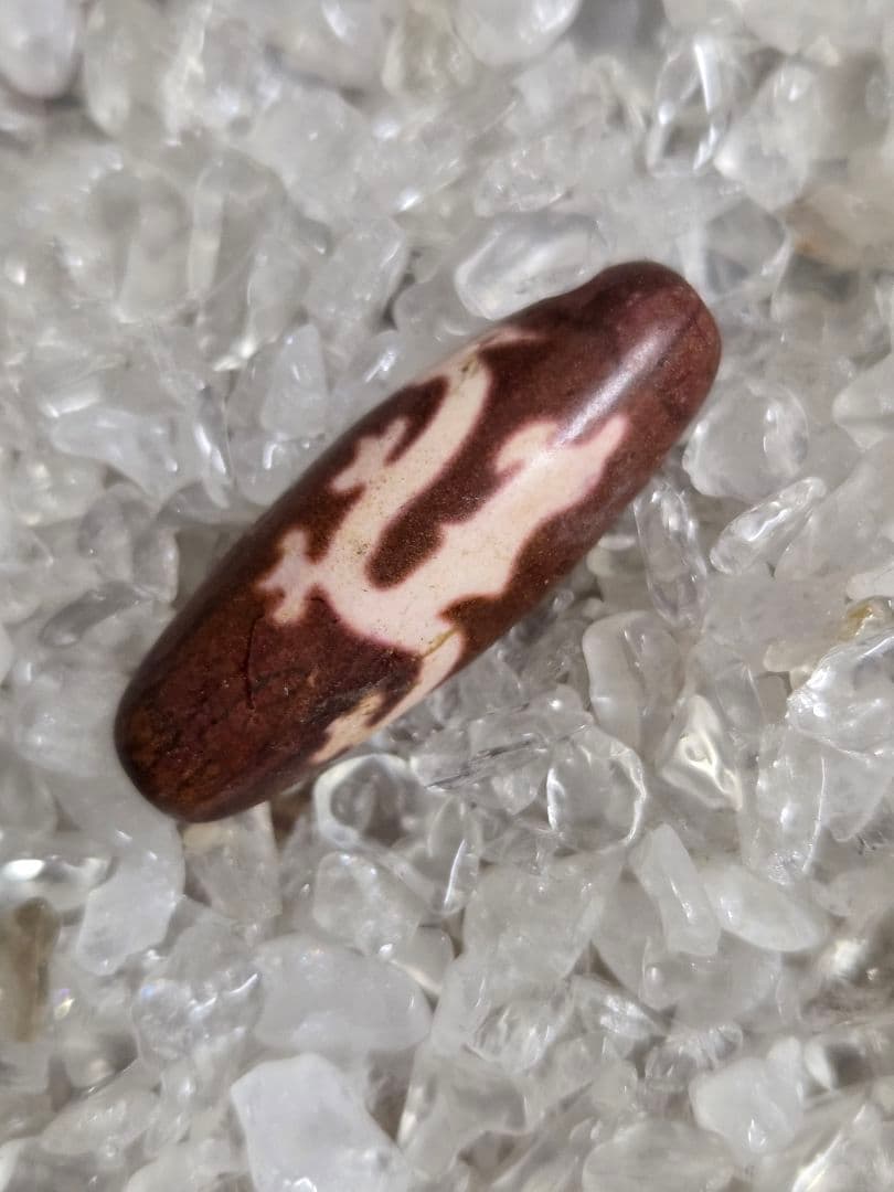 061　天珠　赤色の騎龍観音天珠　dzibeads！