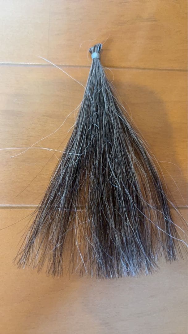 毛束　白髪約30% 45本