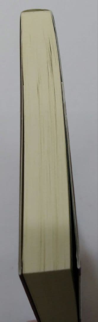 ペルソナ·アナザービジョン 明日出会う自分へ 甲斐透 PERSONA